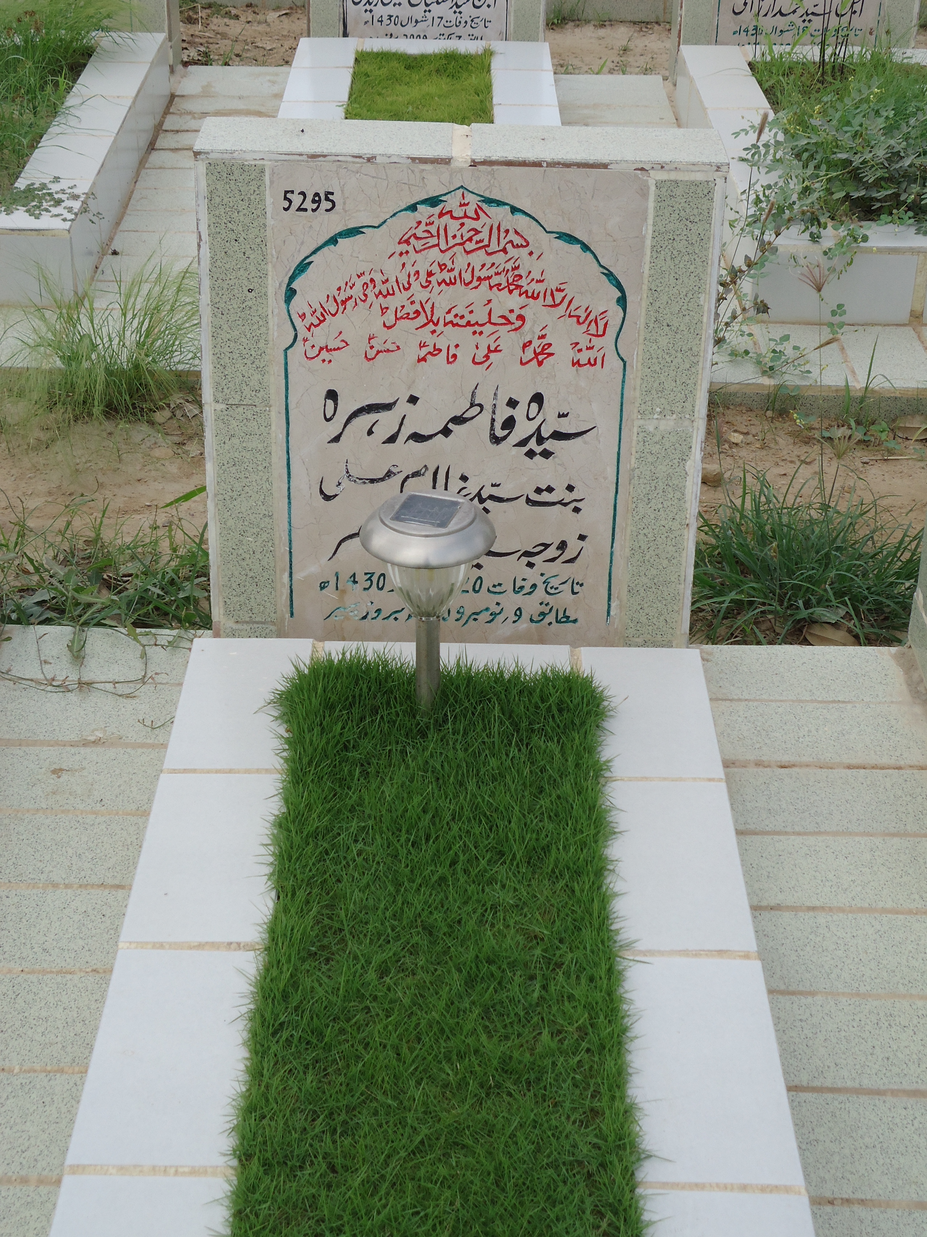5295 – Syeda Fatima Zehra